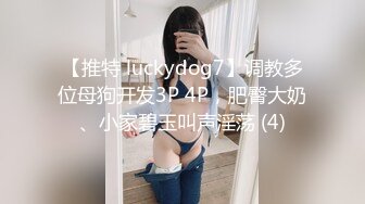 【推特 luckydog7】调教多位母狗开发3P 4P，肥臀大奶、小家碧玉叫声淫荡 (4)